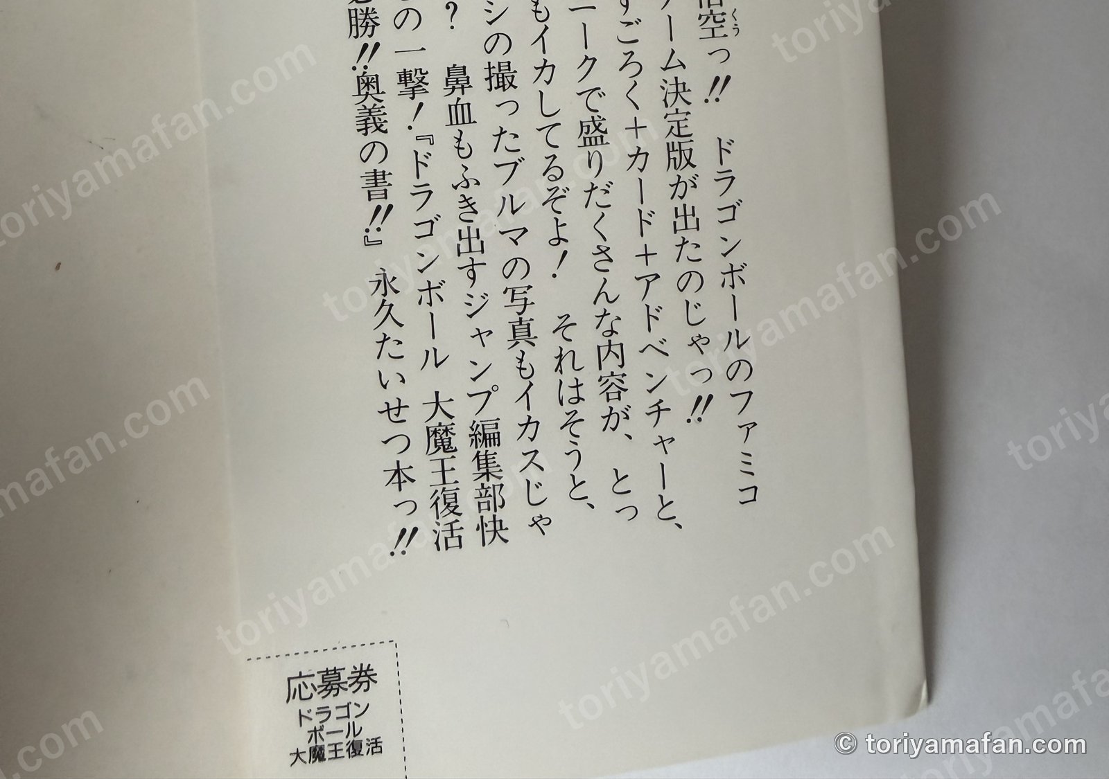 カバーの折り返し。紹介文と応募券