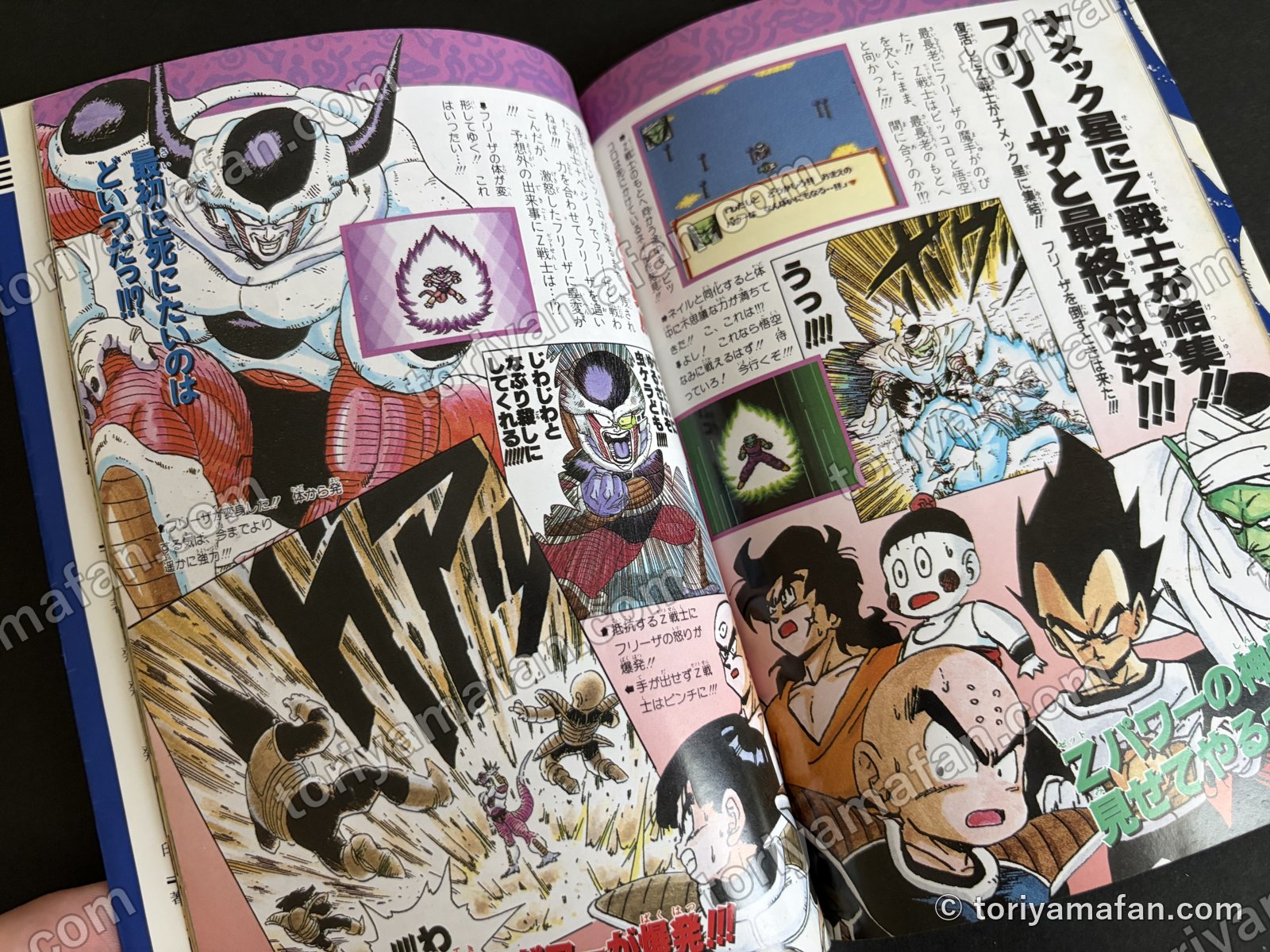ナメック星にZ戦士が結集し、フリーザと最終対決するページ