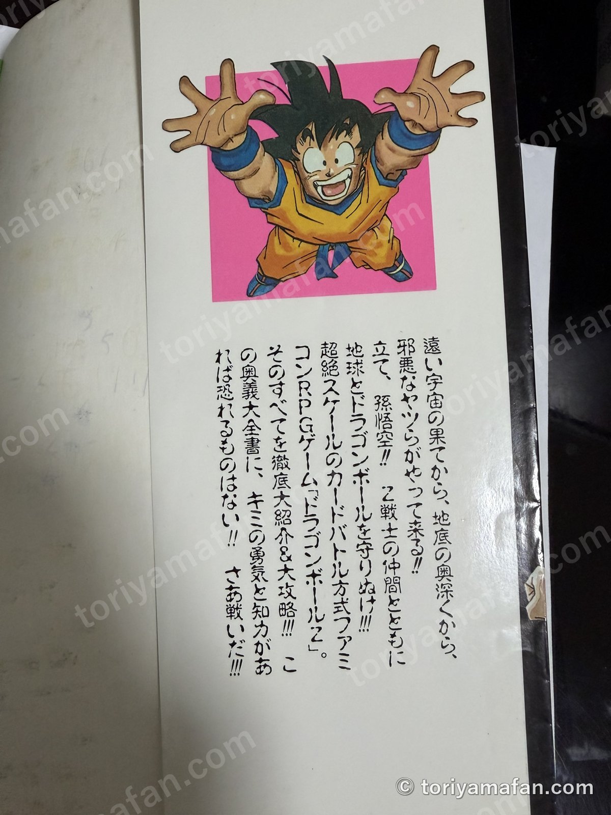 カバーの折り返し。両手を広げた悟空とゲームの紹介文