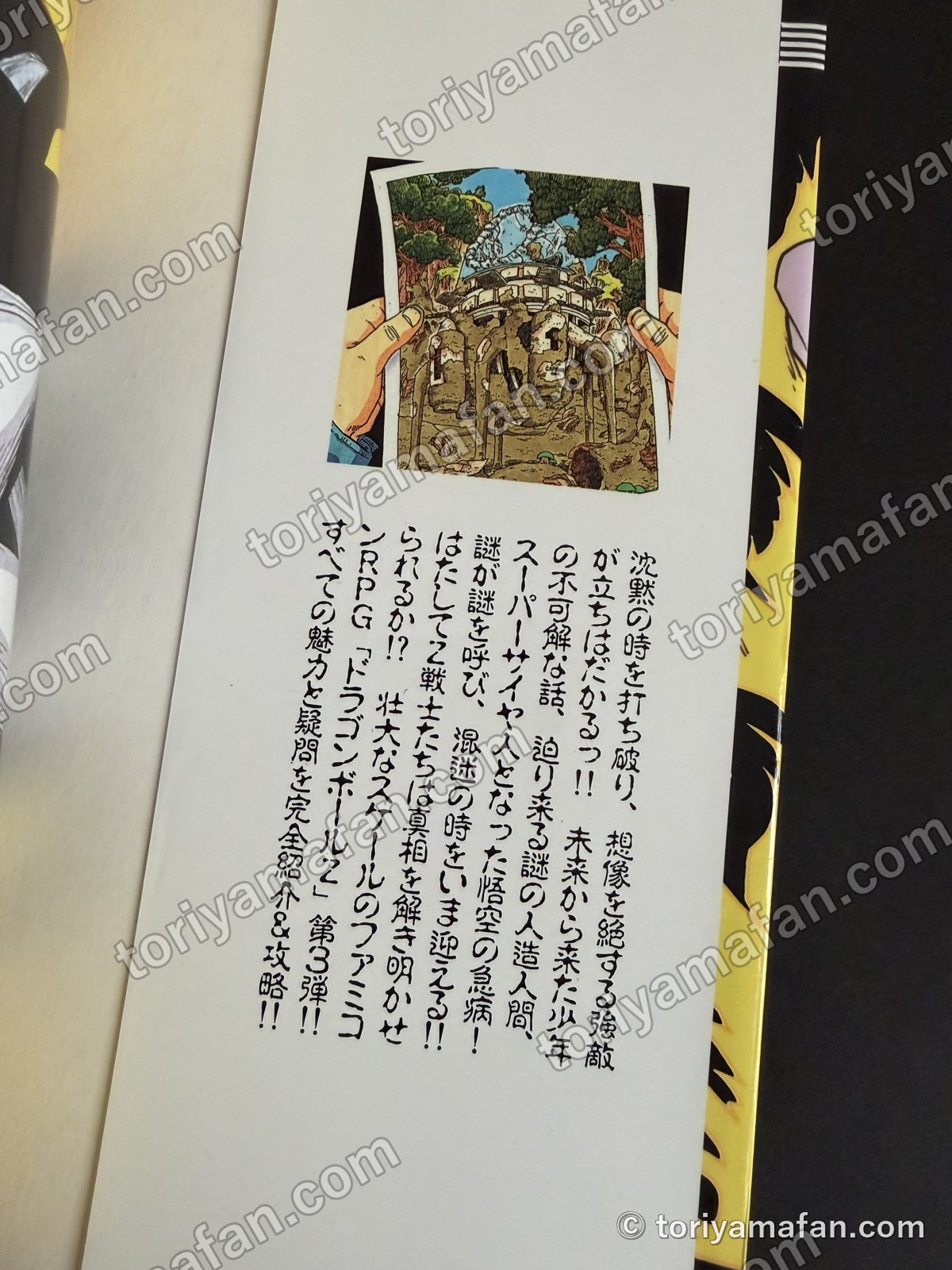 カバーの折り返し。建物の写真を持つ手の絵とゲームの紹介文