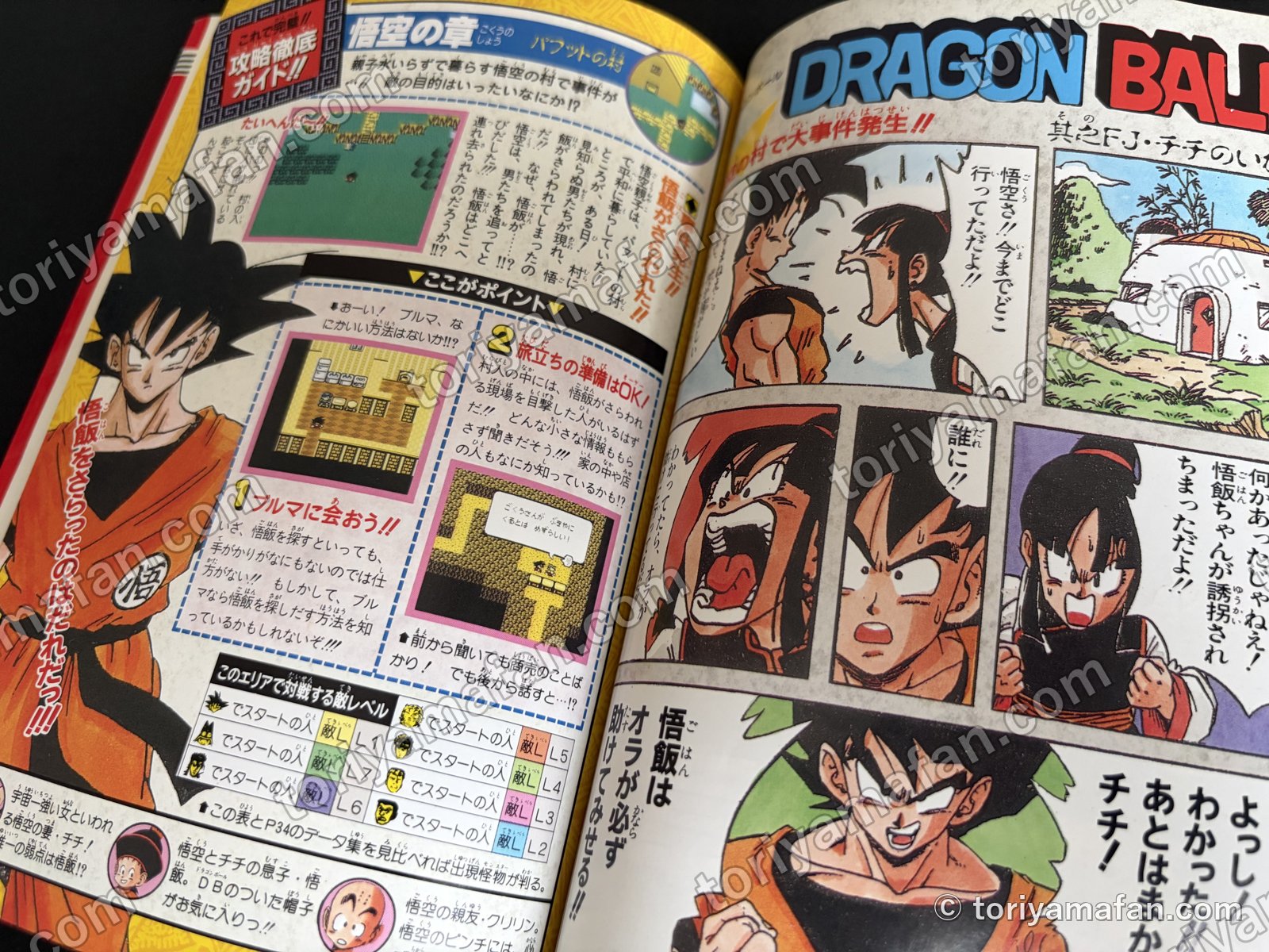 悟空の章のページ。左に攻略、右にドラゴンボールのマンガ 其之FJ