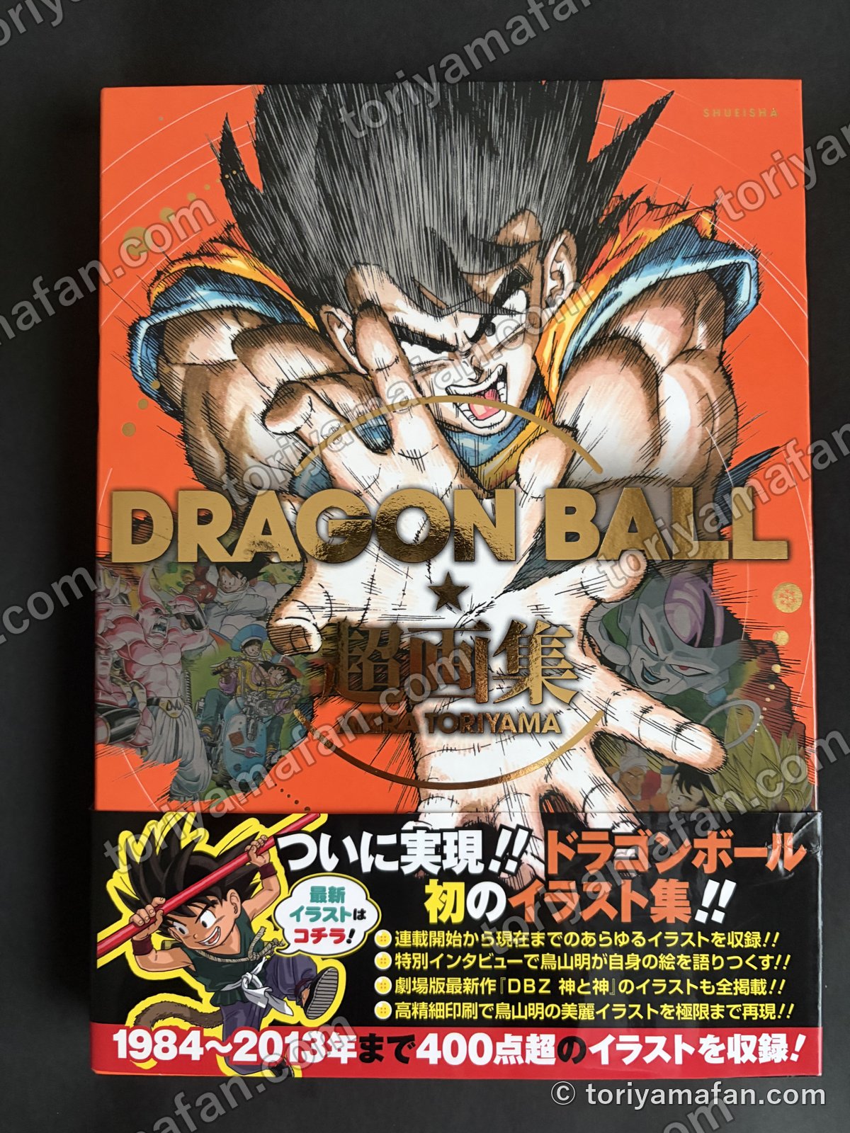 DRAGON BALL 超画集の写真